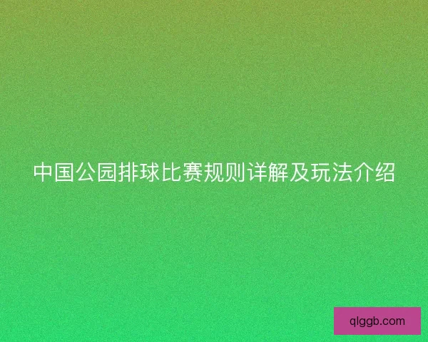 中国公园排球比赛规则详解及玩法介绍 中国公园排球比赛规则详解及玩法介绍