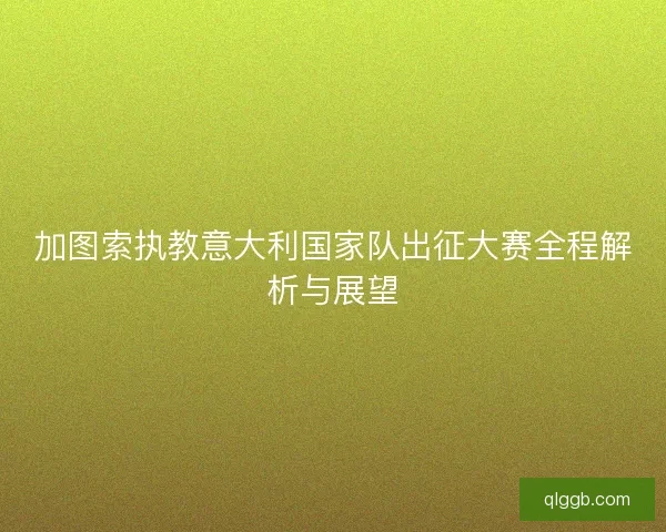 加图索执教意大利国家队出征大赛全程解析与展望