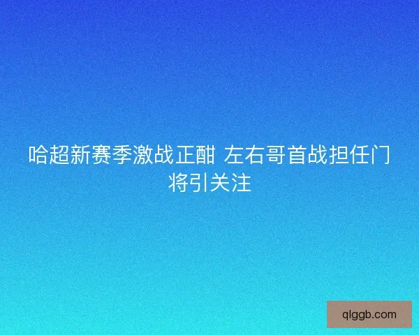 哈超新赛季激战正酣 左右哥首战担任门将引关注